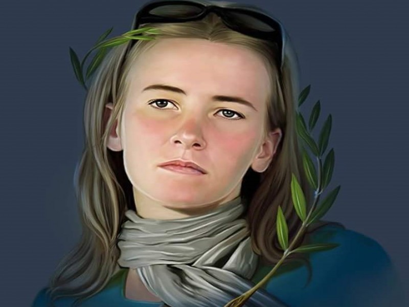 وصف الصورة غير متوفر